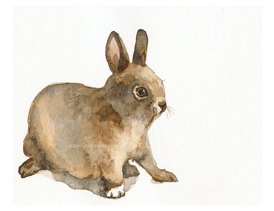Shy- Rabbit art - amberalexander