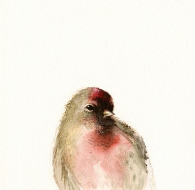 Red- Male Redpoll Archival print of watercolor, bird art, nature, woodland