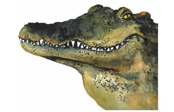 Looker , alligator art, children decor, little boys room