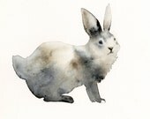 Grey Rabbit  Archival Print - rabbit art,woodland, forest, nature, watercolor
