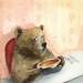Pumpkin Pie - archival print