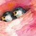 Satin Nest- Baby Birds ARchival print