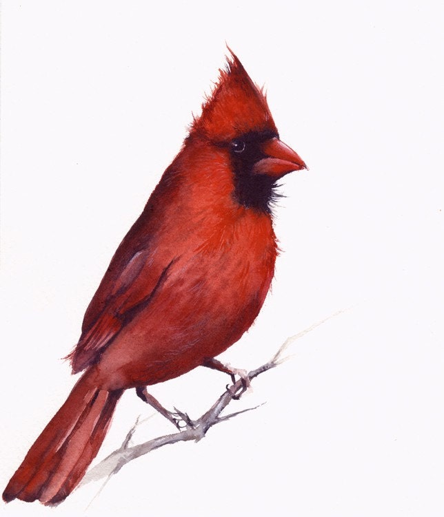 Cardinal print of watercolor painting- bird watercolor,cardinal painting, bird art, nature