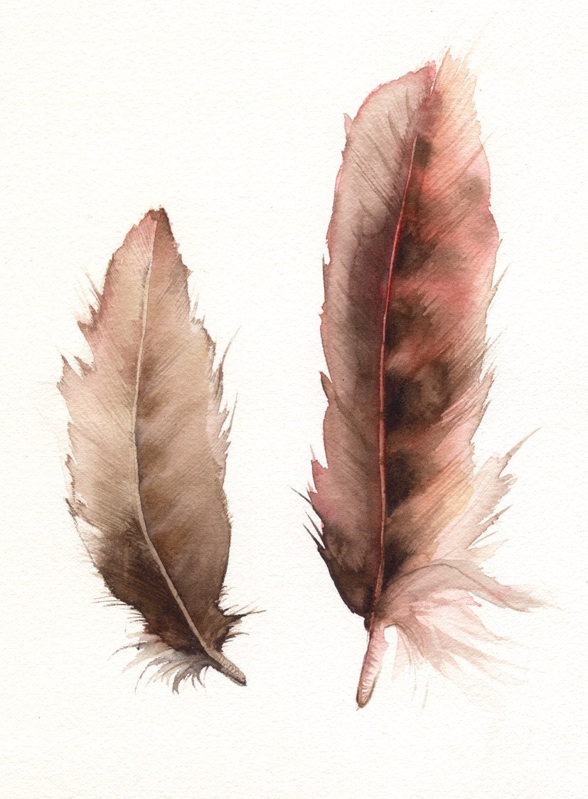 Feathers No. 2 feather painting, nature, archival print