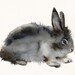 Roughian - Rabbit Art