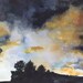 Cliff- Large Limited Editon Landscape Archival print