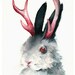 Jackalope Art- "Jack" , Archival art print. .men, antler, pink, grey