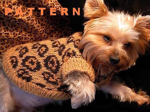 SEXY BEAST Dog Sweater Knitting Pattern - LEOPARD