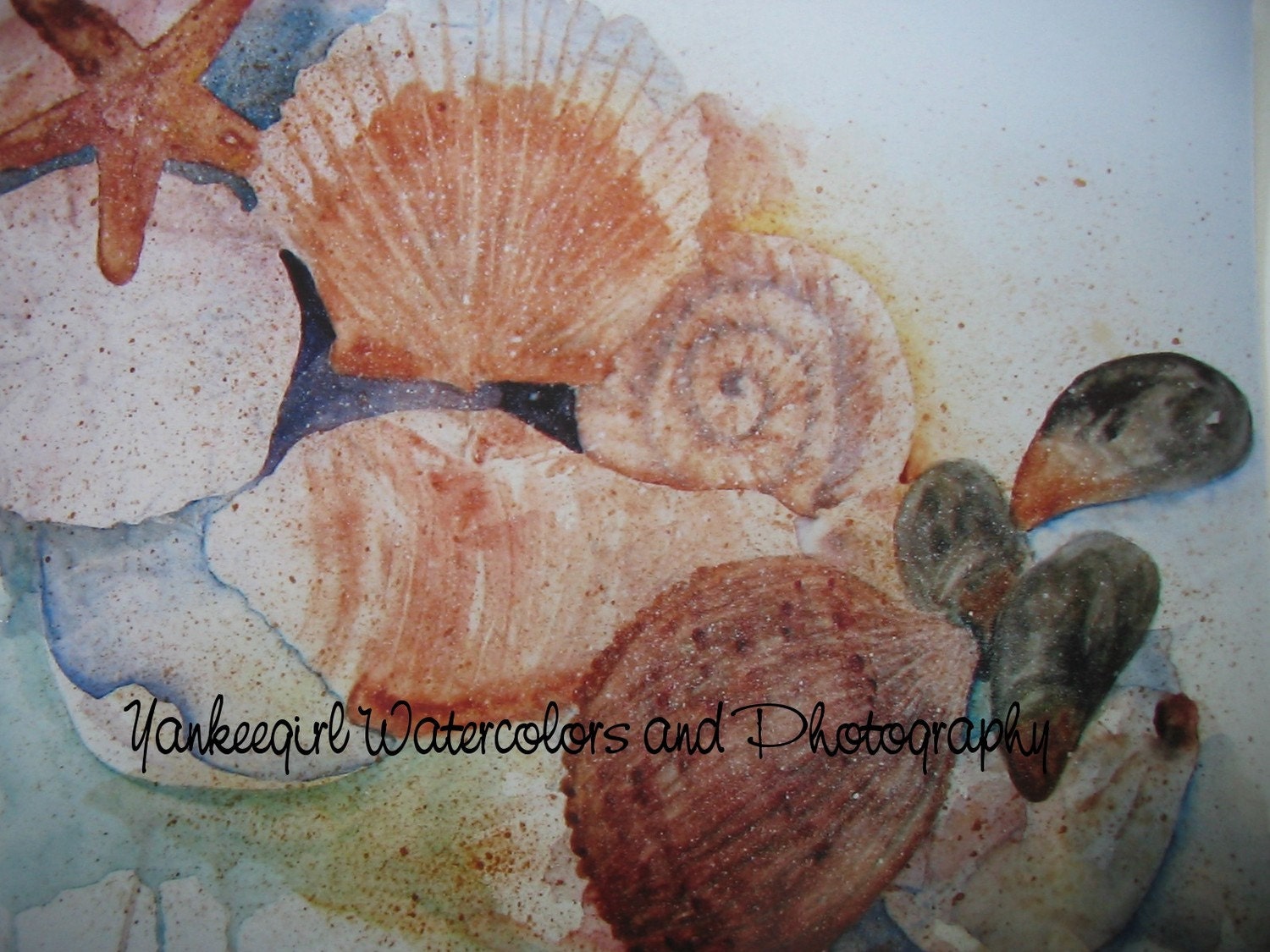 Jersey Shore Seashells- Reproduction of Watercolor Painting