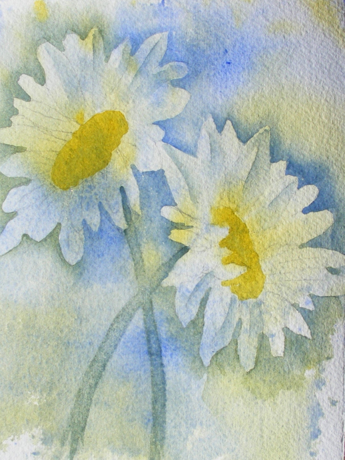 Daisy Friends-Original Watercolor