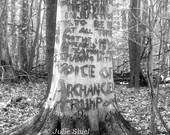 The Voice of Archangels - 5x7 Fine Art Photography - Limited Edition 5 of 25, Schizophrenia, moody black and white Tree home decor