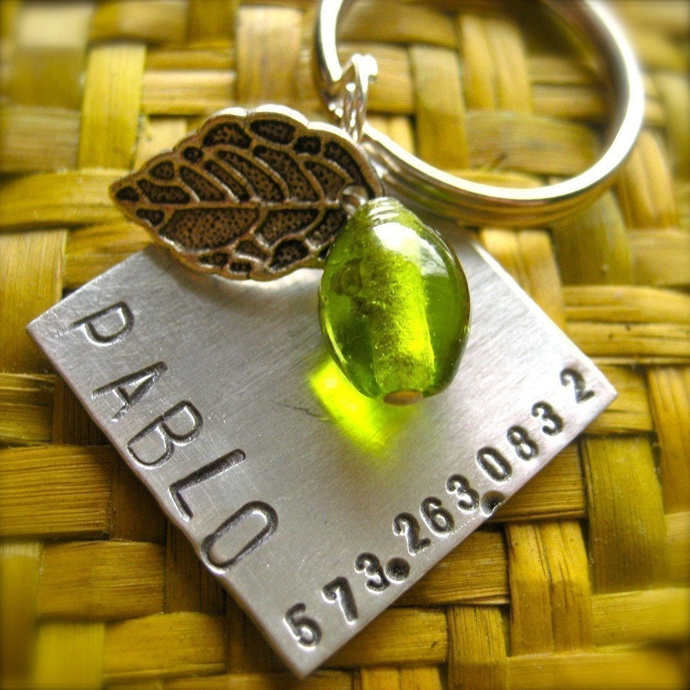 Green with Indie Personalized Pet ID tag in Aluminum - as featured in Modern Dog Magazine
