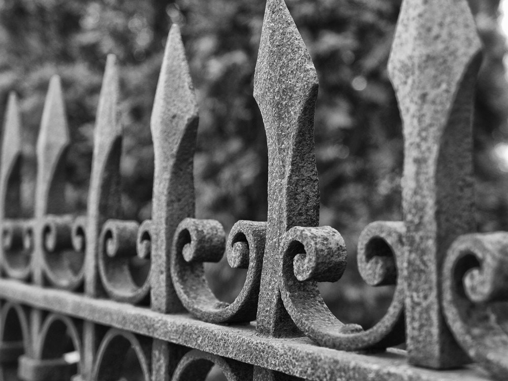 Ironwork Fence - 12 x 16 black and white photograph
