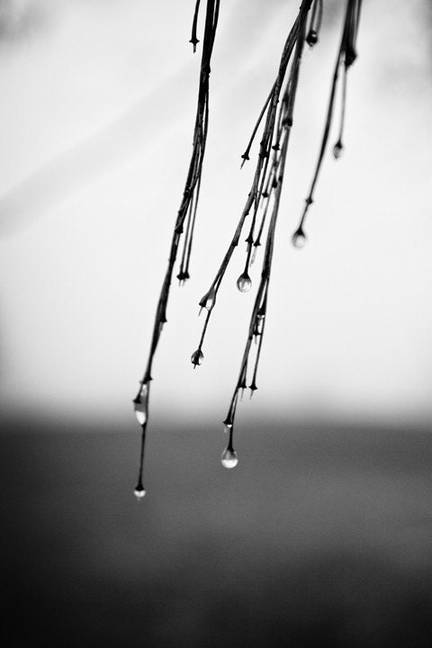 On The Long Journey 8 x 12 inch black and white photograph