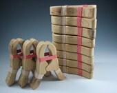 Big Bunch of Playclips - 10 Play Clips - Big and Chunky for little hands
