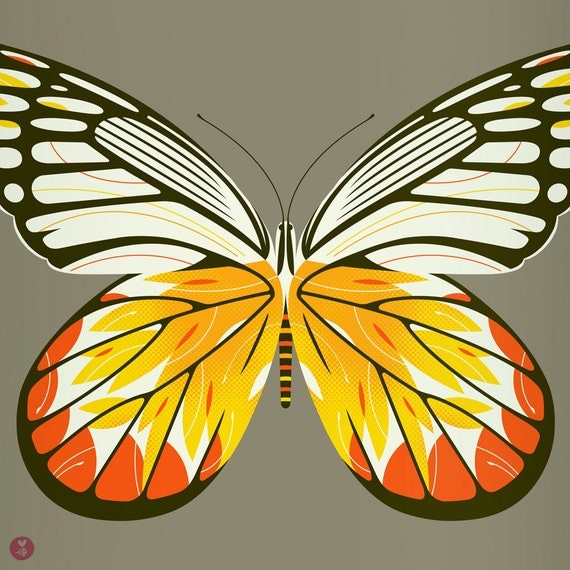 jezebel butterfly limited edition print