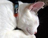 Crystal Kitty Companion Collar Charm