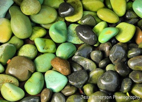 Rock Photography Colorful green gray grey brown pebbles macro abstract photograph. 5x7 Fine Art Photograph- Metallic Paper. In Stock