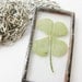 four leaf clover necklace - 4 leaf clover - st patricks day - chunky - black - silver - luck - irish - flower
