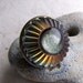 Steampunk Sea Urchin Ring