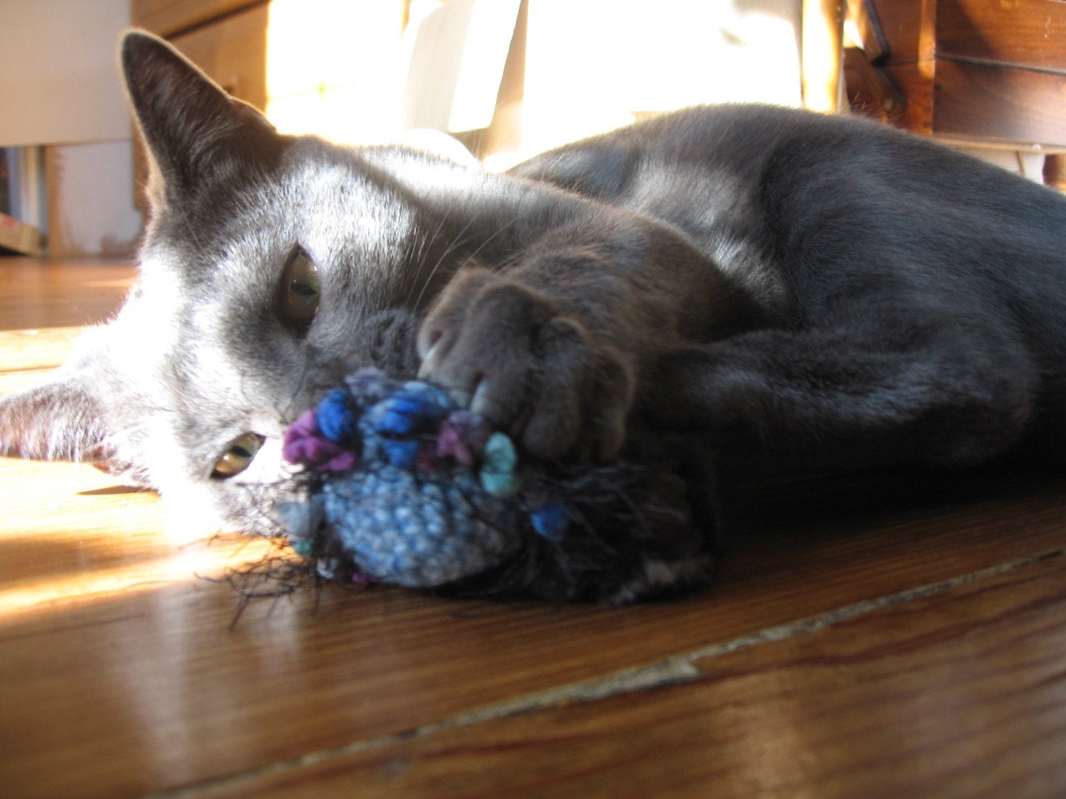 Set of 2 Crunchy, Organic Catnip, Cat Toys