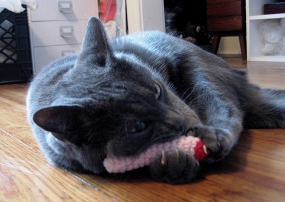Human Finger Cat Toy