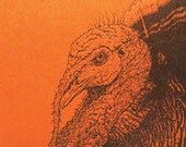 Wild Turkey Tom Card