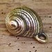 Artisan Fancy Snail Sea Shell in Sterling Silver