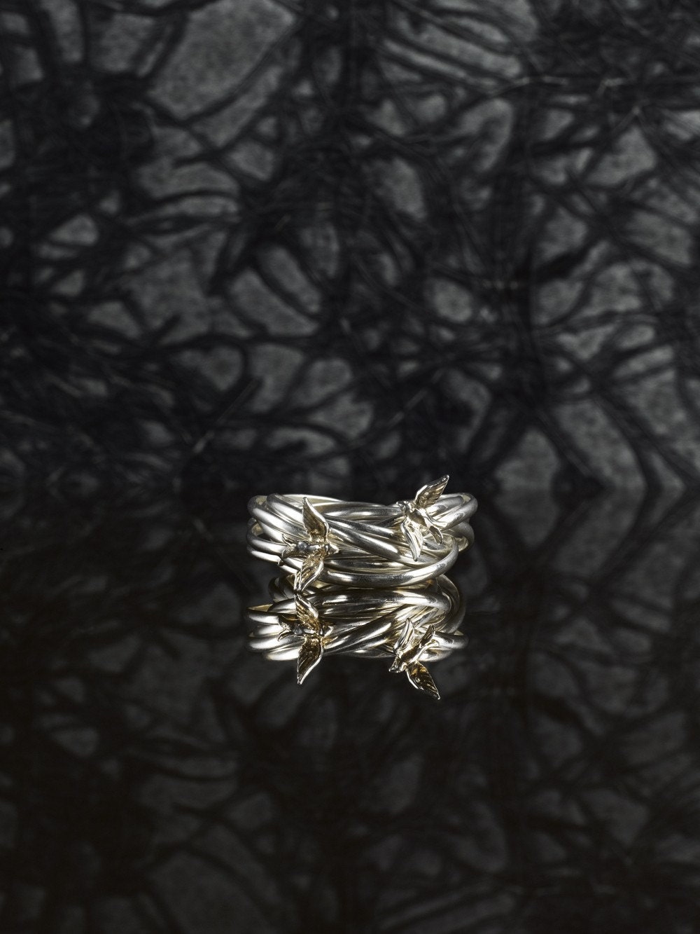 The Nest Ring