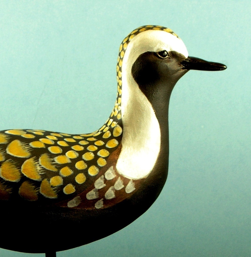 Golden Plover Decoy Summer Breading Plumage  Carving