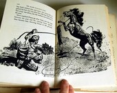 Vintage Book, Island Stallion's Fury, Walter Farley Horse Book