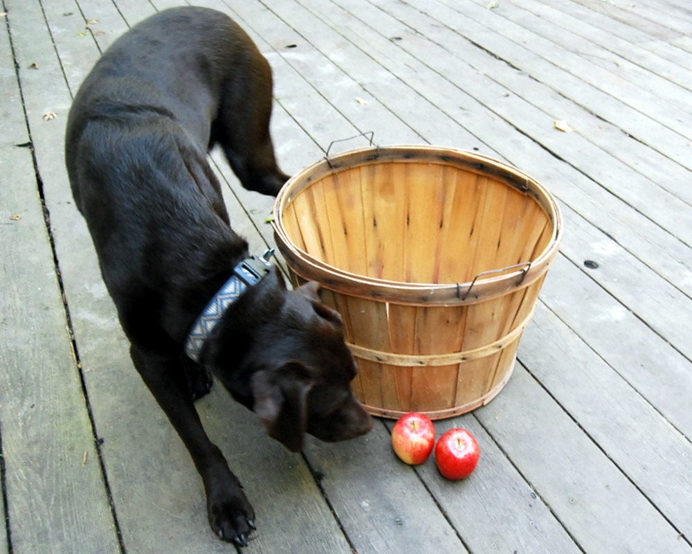 Vintage Basket Bushel Basket Splint Wood Apple Basket