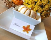 Thanksgiving Place Cards  Escort Cards Table Numbers Decor Weddings Thanksgiving Fall Autumn Orange Bridal Menu Sign Tents Shower