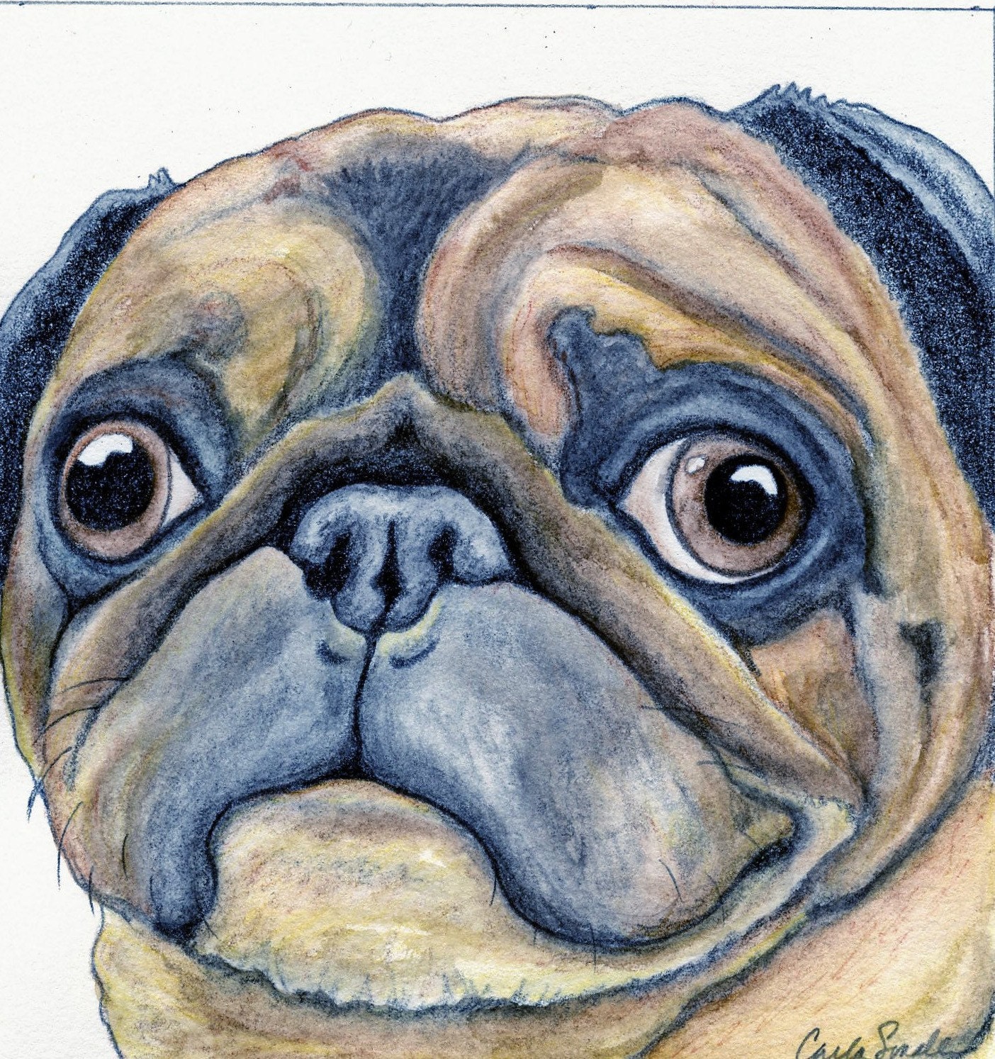 Custom Pet Portrait Original Drawing 3 x 4  Dog Art Pencil Painting -Carla Smale