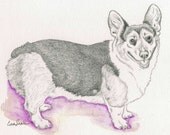 Corgi Original Pencil Drawing Pet Dog Art-Carla Smale