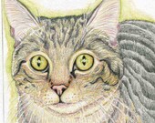 Tabby Cat Original Pencil Drawing Painting Pet Art-Carla Smale