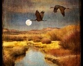 Buy any 12x12 and get one 8x8 free (Moonrise over the Bosque shown)