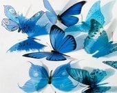 36 x Special Blue 3D Butterflies great for Weddings, Crafts