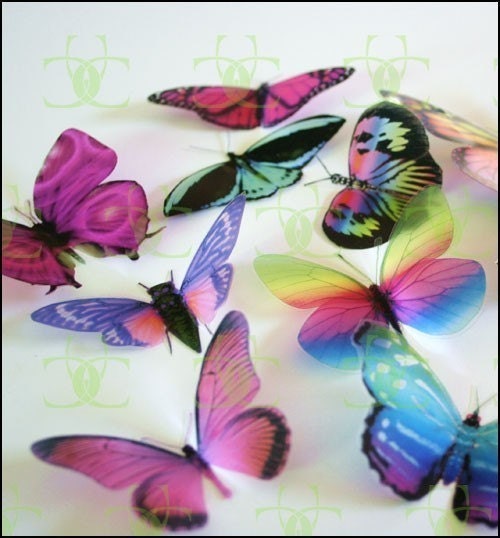 SPECIAL - 100 Mixed 3D Transparent Butterflies, Dragonflies and Ladybugs