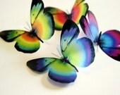 B034 - 12 x 3D Butterflies Suitable for Scrapbooking, Weddings and Decorations