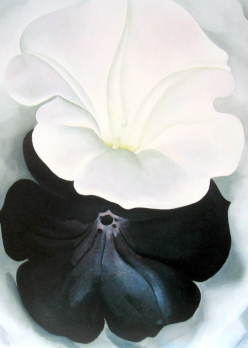 Black Petunia and White Morning Glory II Georgia O'Keeffe Vintage 1987 Book Plate