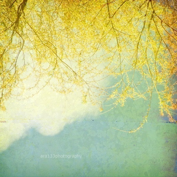Nature Photography, Wall Decor, Landscape Picture, Yellow, Blue, White, Clouds, Cottage Chic - 8x8 inch Print - Willow