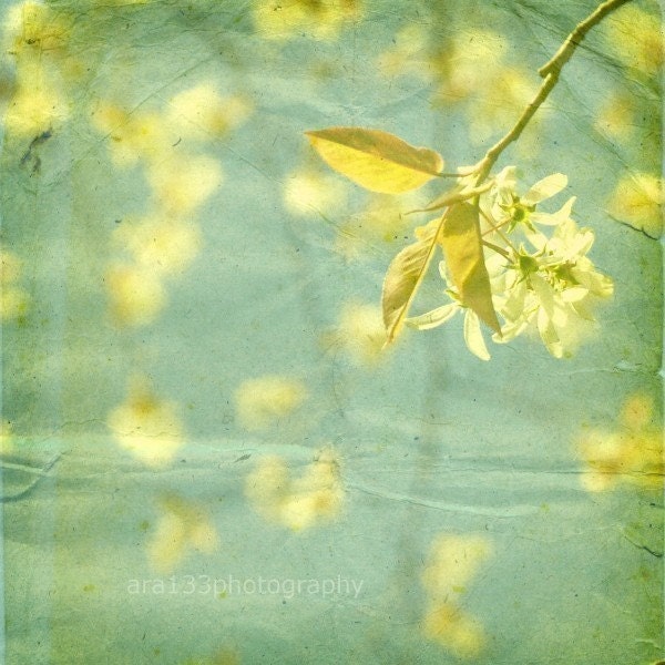 Flower Photography - Spring Mint Green Nature Photography - Yellow Leaves 5x5 inch Fine Art Photo Print - Fantine - ara133photography