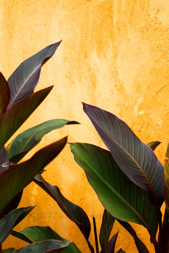 Large Nature Photograph, Yellow, Green, Picture, Leaves, Jungle, Still Life - 20 x 30 inch Photograph - "Another Yesterday"