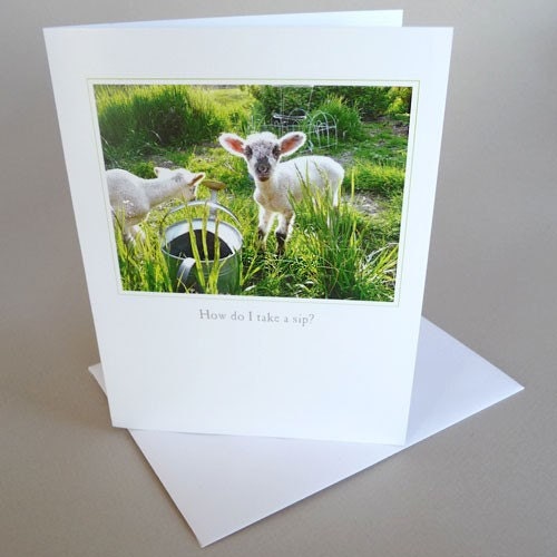 Greeting Card Lamb Country Life Green Spring Little Princess