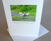 Spring Greeting Card Lamb Country Life Little Princess And Lady Gaga