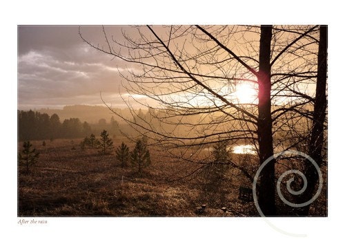 Photograph Autumn Rain at Sunset Fine Art