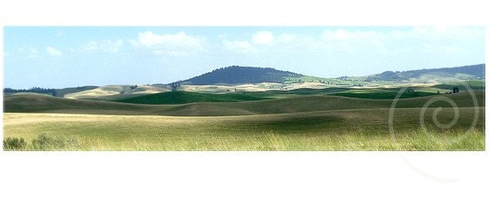Spring Fine Art Photograph Rolling Hills Landscape