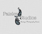 Logo Design  - Custom Logo with Business Card, Blog Header, and Sticker - Professional Business Branding Package