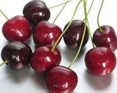 Cherry Rose 2 Oz Candle Soap Fragrance Oil